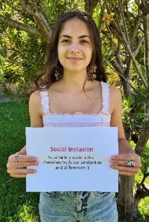 social inclusion2